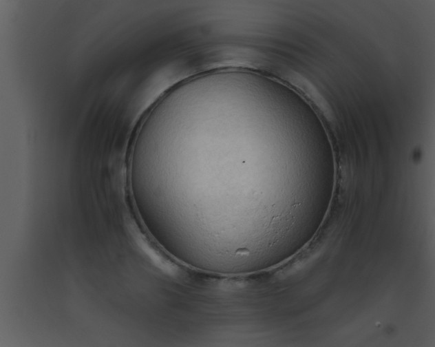 X0000093510890200710191308