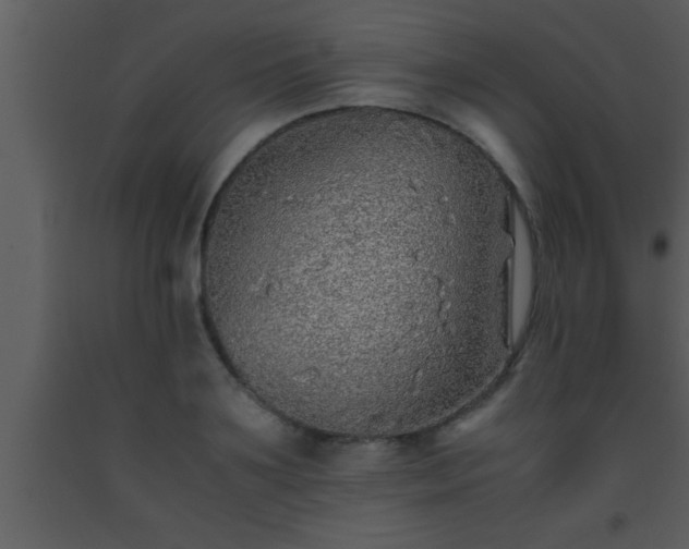 X0000093510891200710191308
