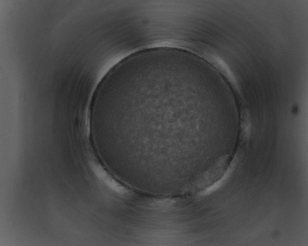 X0000093510892200710191308