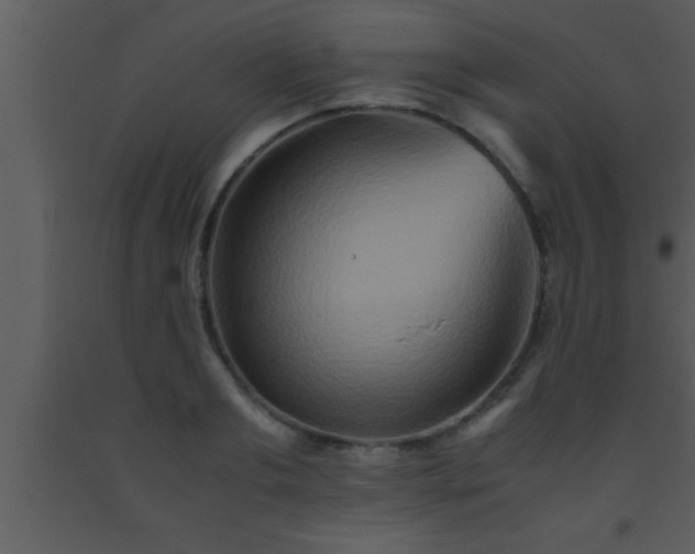 X0000093510893200710191308