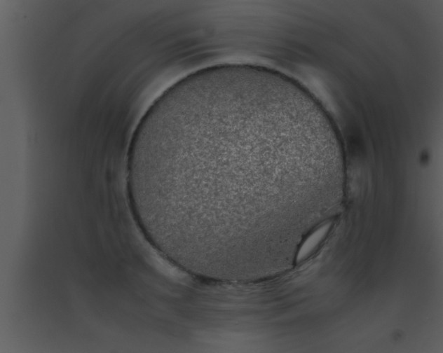 X0000093510895200710191308