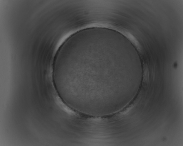 X0000093510896200710191308