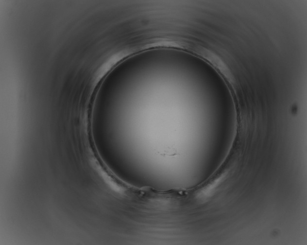 X0000093510898200710191308