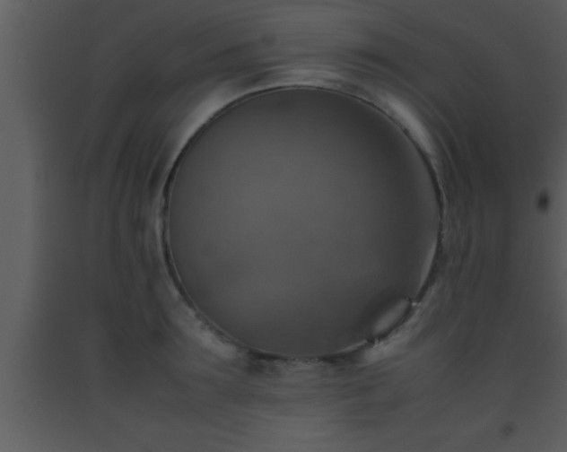 X0000093510899200710191308