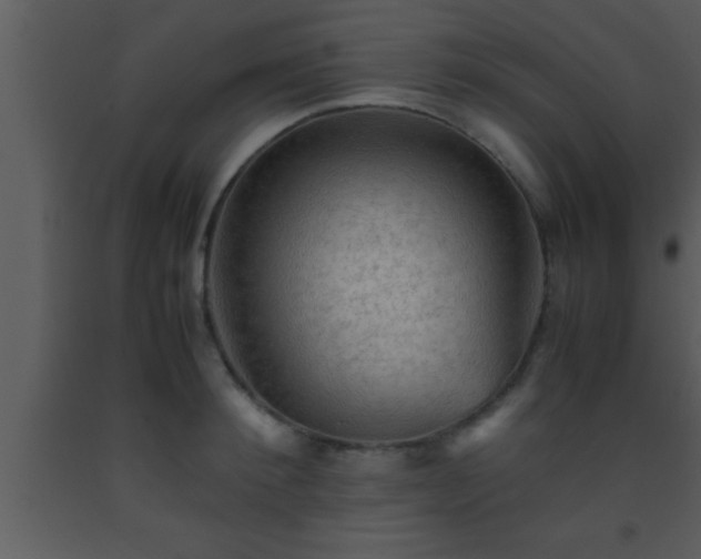 X0000093510900200710191308