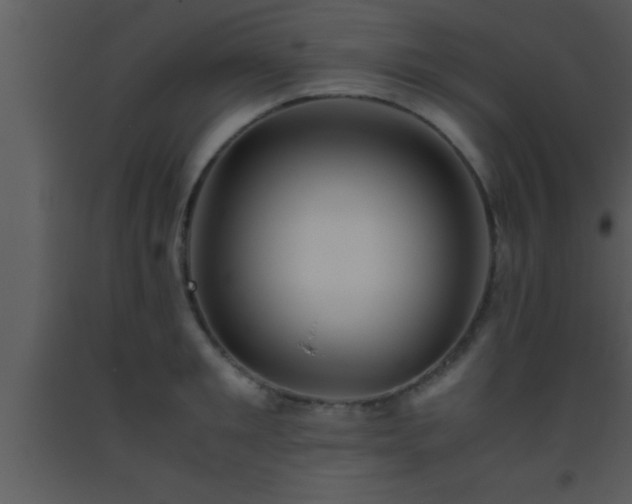 X0000093510901200710191308