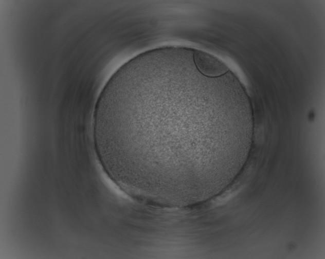 X0000093510903200710191308