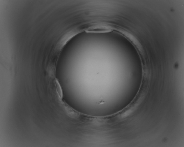 X0000093510905200710191308