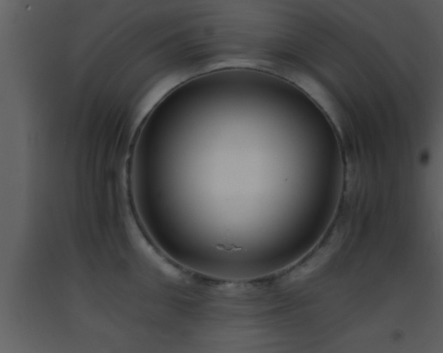 X0000093510906200710191308