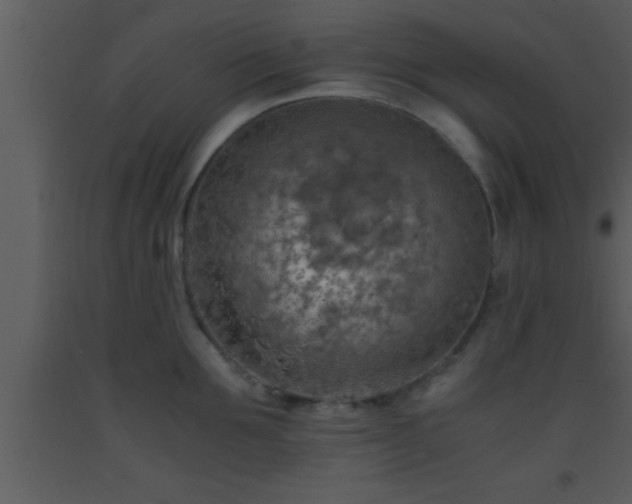 X0000093510907200710191308