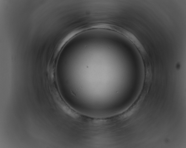 X0000093510908200710191308
