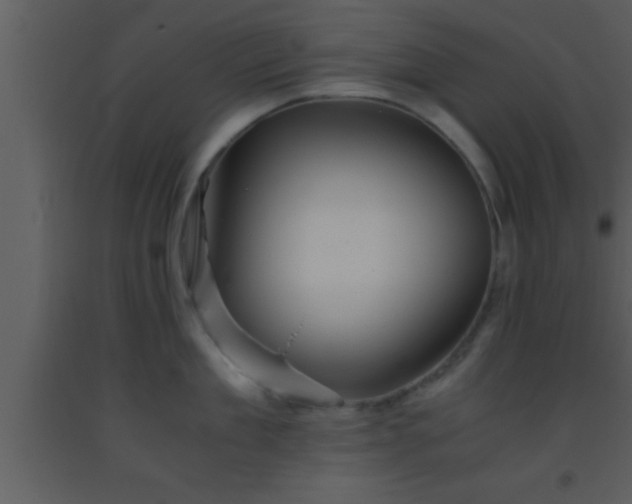 X0000093510909200710191308