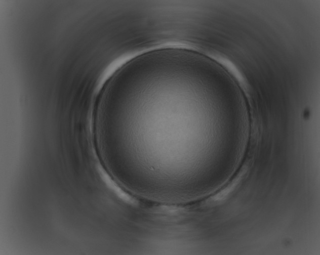 X0000093510910200710191308