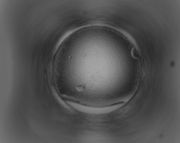 X0000093510911200710191308