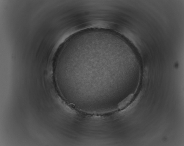 X0000093510923200710191307
