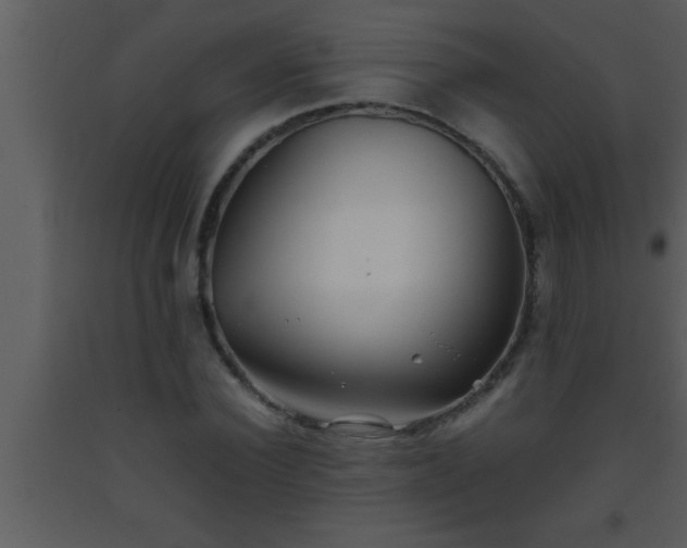 X0000093510924200710191307