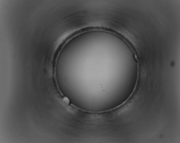 X0000093510927200710191308
