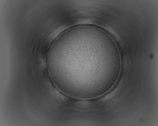 X0000093510929200710191308