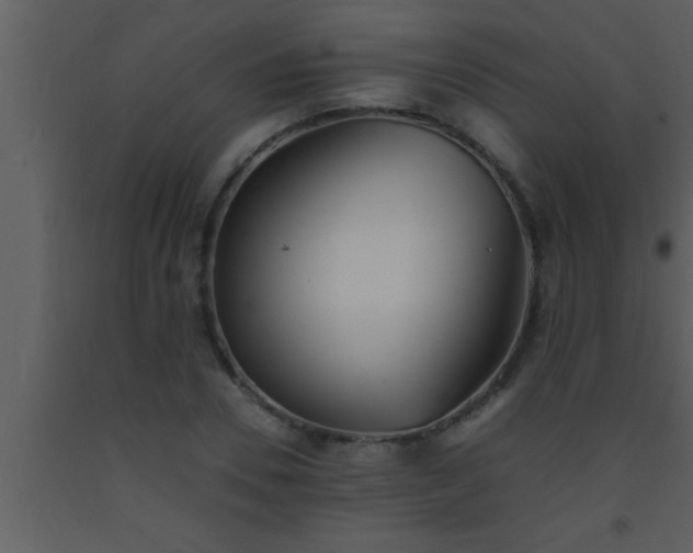 X0000093510930200710191308