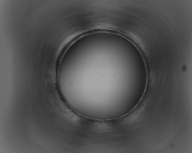 X0000093510931200710191308