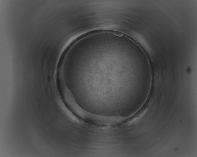 X0000093510932200710191308