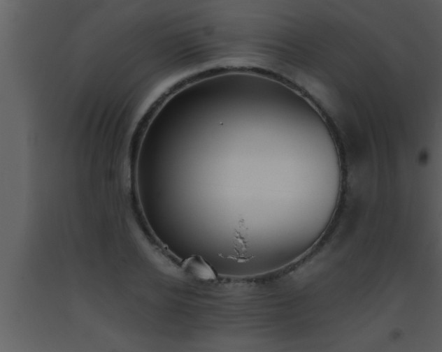X0000093510934200710191308