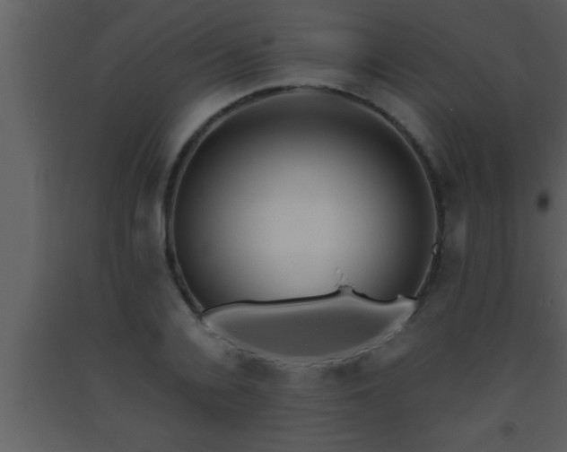 X0000093510936200710191308