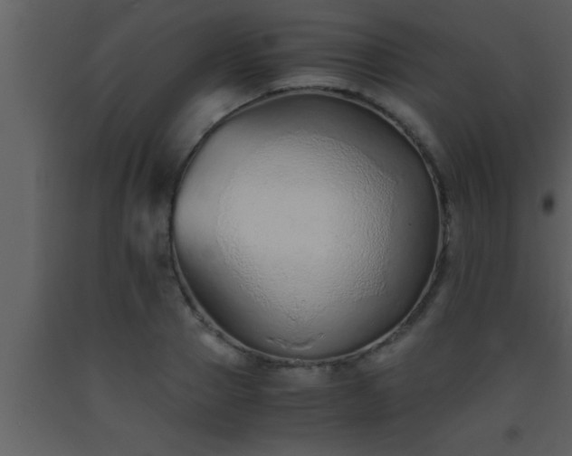 X0000093510937200710191308