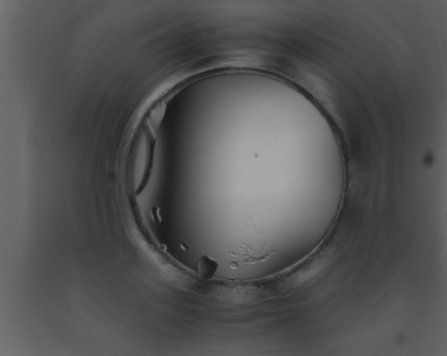 X0000093510939200710191308