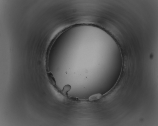 X0000093510942200710191308
