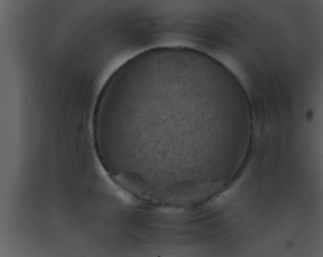 X0000093510943200710191308
