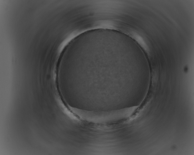 X0000093510944200710191308