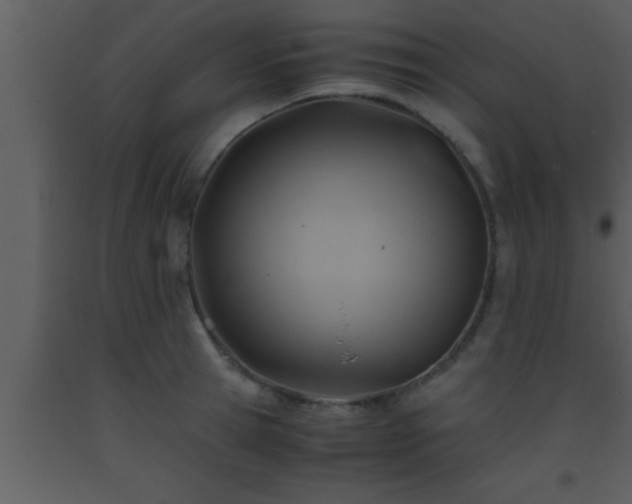 X0000093510945200710191308