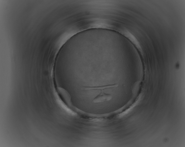 X0000093510946200710191308