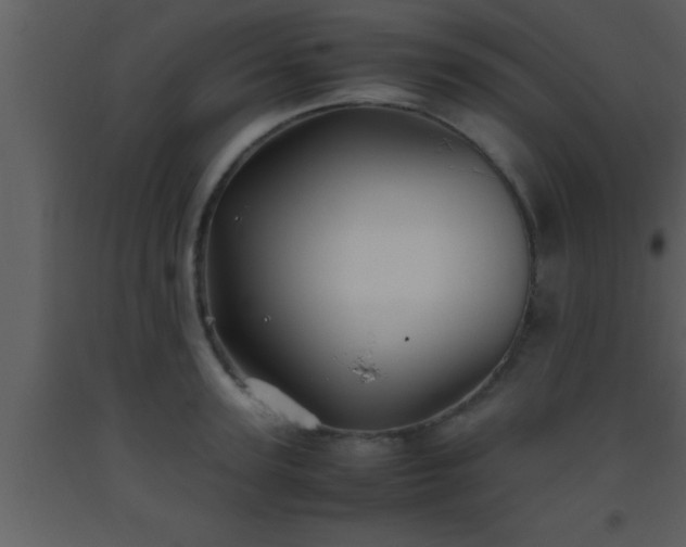 X0000093510947200710191308