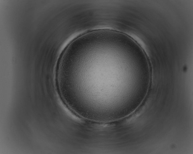 X0000093510949200710191308