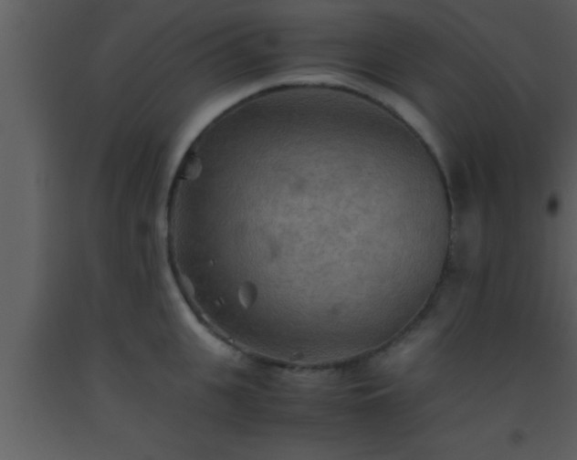 X0000093510951200710191308