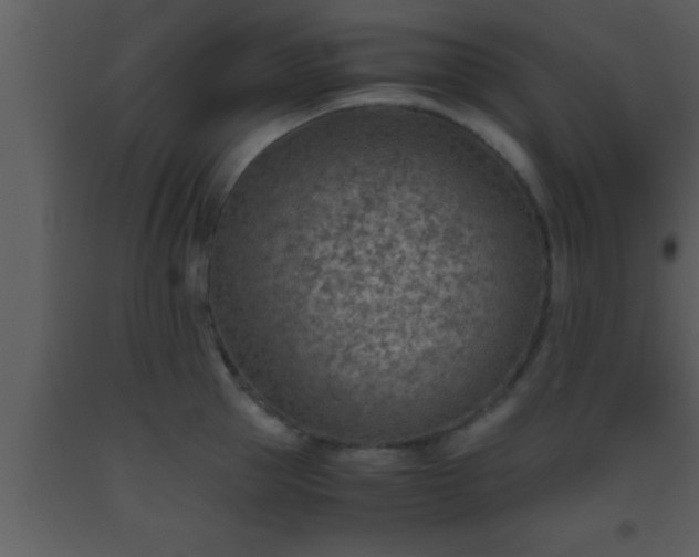 X0000093510953200710191308