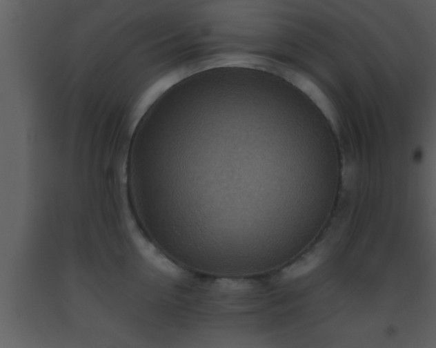 X0000093510954200710191308