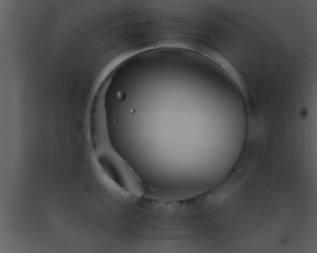 X0000093510955200710191308