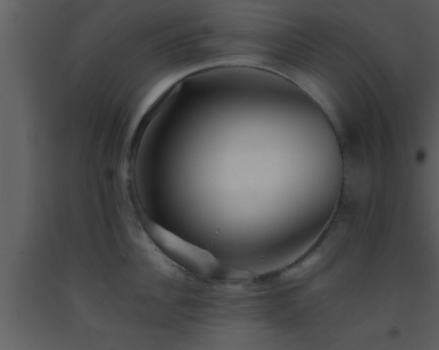 X0000093510956200710191308