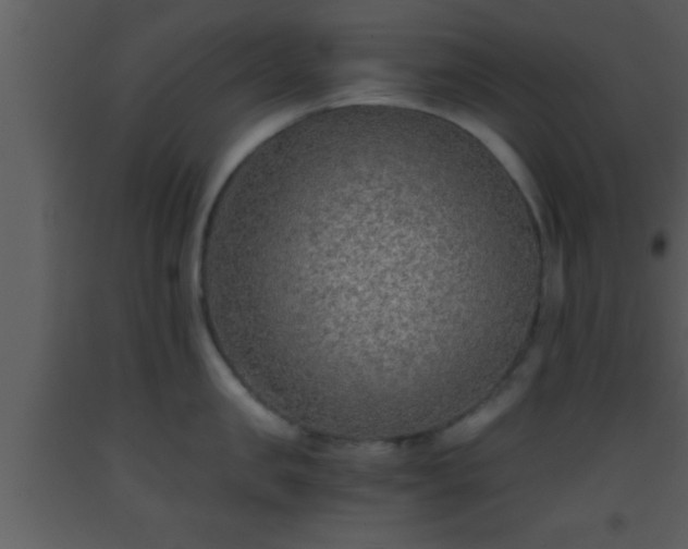 X0000093510957200710191308