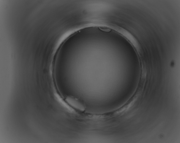 X0000093510958200710191308