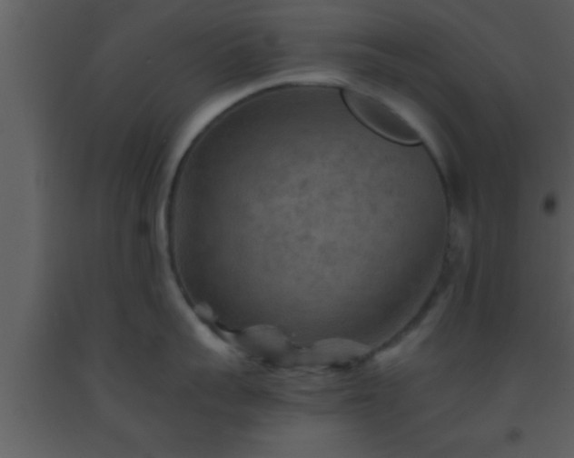 X0000093510959200710191308