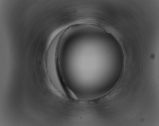 X0000093510960200710191308