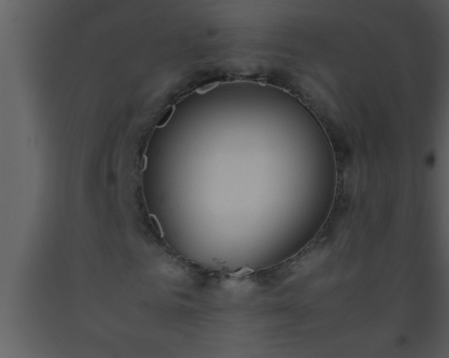 X0000093510961200710191307