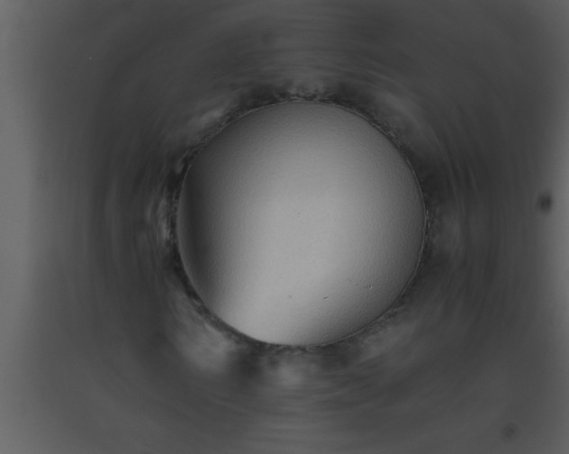 X0000093510962200710191307