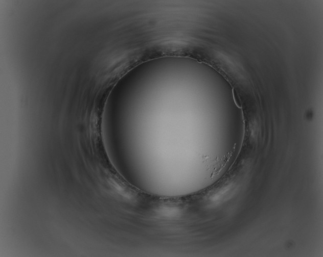 X0000093510964200710191307