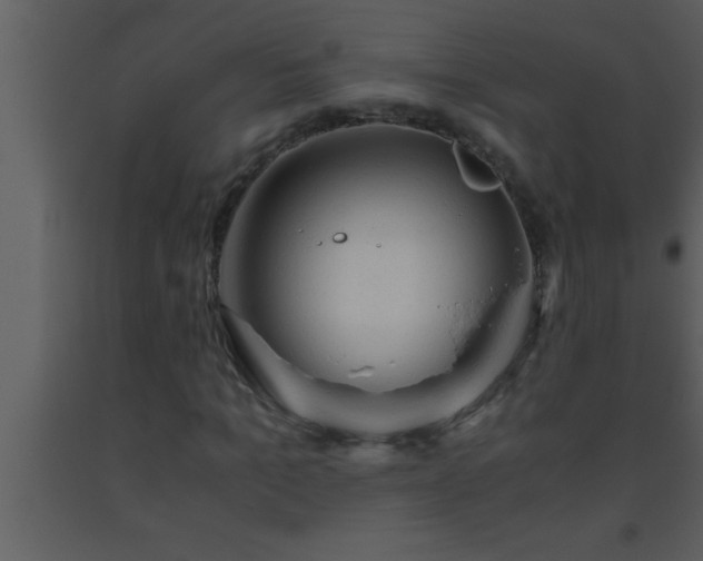 X0000093510965200710191307