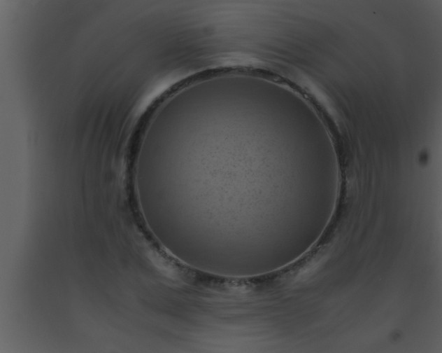 X0000093510975200710191307